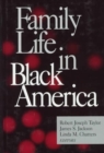 Image for Family life in black America