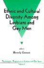 Image for Ethnic and cultural diversity among lesbians and gay men