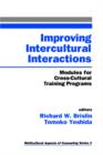 Image for Improving Intercultural Interactions