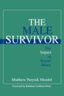 Image for The Male Survivor : The Impact of Sexual Abuse
