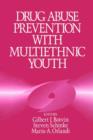 Image for Drug Abuse Prevention with Multiethnic Youth