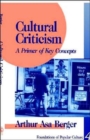 Image for Cultural Criticism : A Primer of Key Concepts