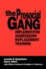 Image for The Prosocial Gang : Implementing Aggression Replacement Training