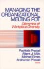 Image for Managing the Organizational Melting Pot