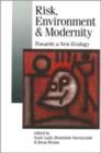 Image for Risk, Environment and Modernity : Towards a New Ecology