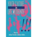 Image for Youth Culture in Late Modernity