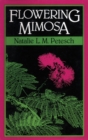 Image for Flowering Mimosa