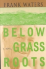 Image for Below Grass Roots : A Novel