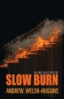 Image for Slow Burn