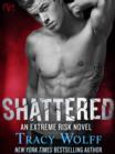 Image for Shattered: An Extreme Risk Novel