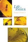 Image for Life in Amber