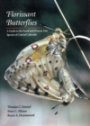 Image for Florissant Butterflies : A Guide to the Fossil and Present-Day Species of Central Colorado