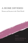 Image for A Home Divided