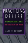 Image for Practicing desire  : homosexual sex in the era of AIDS