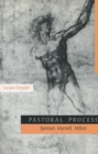 Image for Pastoral process  : Spenser, Marvell, Milton