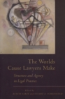Image for The Worlds Cause Lawyers Make : Structure and Agency in Legal Practice