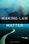 Image for Making law matter: environmental protection and legal institutions in Brazil