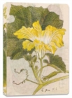Image for Japanese Squash Blossom Lined Paperback Journal : Blank Notebook with Pocket