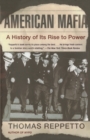 Image for American Mafia  : a history of its rise to power
