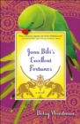 Image for Jana Bibi&#39;s excellent fortunes: a novel