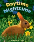 Image for Daytime Nighttime