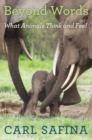 Image for Beyond words  : what animals think and feel
