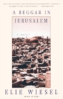 Image for A Beggar in Jerusalem : A novel