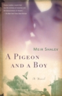 Image for A Pigeon and a Boy : A Novel