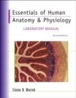 Image for Essentials of Human Anatomy and Physiology : Lab Manual