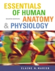 Image for Essentials of Human Anatomy and Physiology