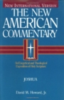 Image for Joshua : An Exegetical and Theological Exposition of Holy Scripture