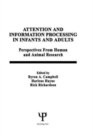 Image for Attention and information Processing in infants and Adults