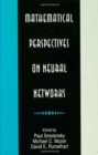 Image for Mathematical Perspectives on Neural Networks