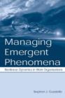 Image for Managing emergent phenomena  : nonlinear dynamics in work organizations