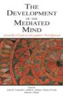 Image for The Development of the Mediated Mind