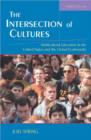 Image for The Intersection of Cultures : Multicultural Education in the United States and the Global Economy