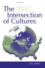 Image for The intersection of cultures  : global multicultural education