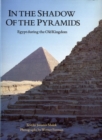 Image for In the Shadow of the Pyramids