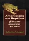 Image for Amphibians and Reptiles of Northern Guatemala, the Yucatan, and Belize