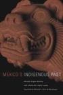 Image for Mexico&#39;s Indigenous Past