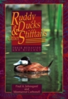 Image for Ruddy Ducks and Other Stifftails
