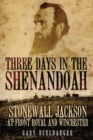 Image for Three Days in the Shenandoah