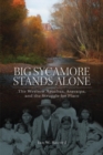 Image for Big Sycamore Stands Alone : The Western Apaches, Aravaipa, and the Struggle for Place