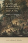 Image for African maroons in sixteenth-century Panama  : a history in documents