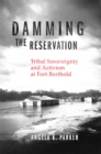 Image for Damming the Reservation Volume 23 : Tribal Sovereignty and Activism at Fort Berthold