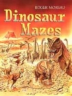 Image for Dinosaur mazes