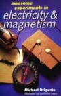 Image for Awesome experiments in electricity &amp; magnetism