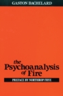 Image for The psychoanalysis of fire