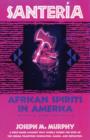 Image for Santería: African Spirits in America : With a New Preface