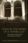 Image for Souls in the hands of a tender god: stories of the search for home and healing on the streets